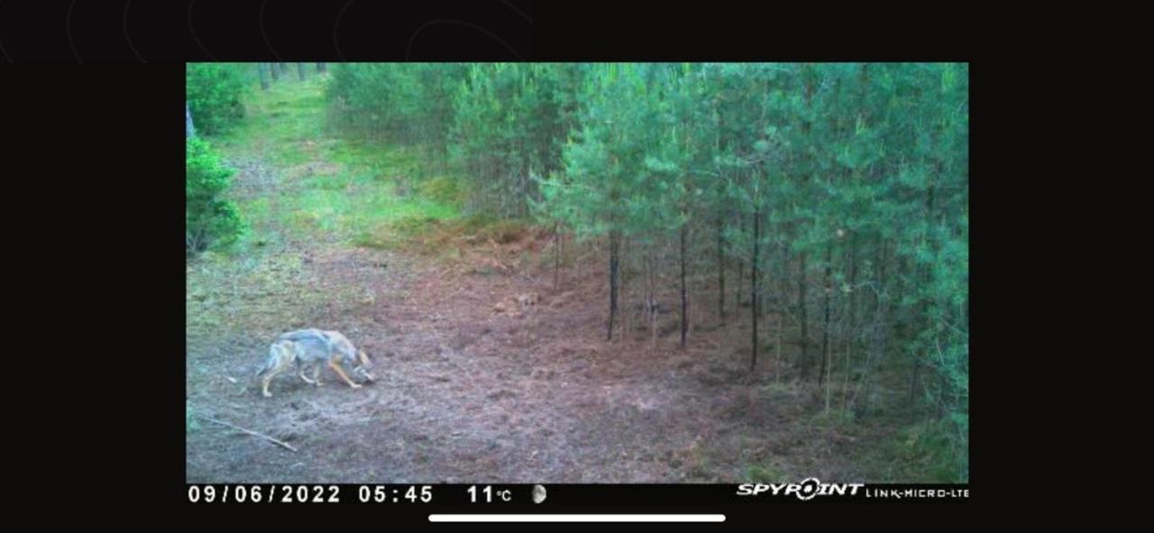Jagd-Angler-Suite-04-Im-Wald-Am-See คือริทซ์ ภายนอก รูปภาพ